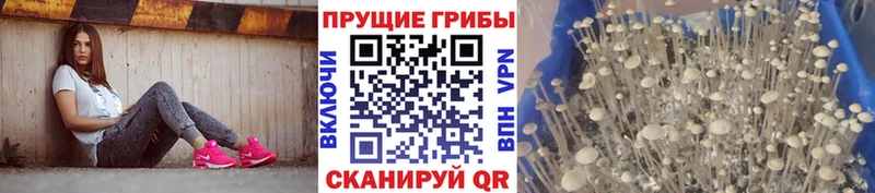 mega маркетплейс  Белёв  мориарти как зайти  Псилоцибиновые грибы MAGIC MUSHROOMS 